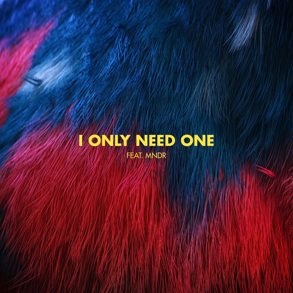 Picture of I Only Need One (feat. MNDR)