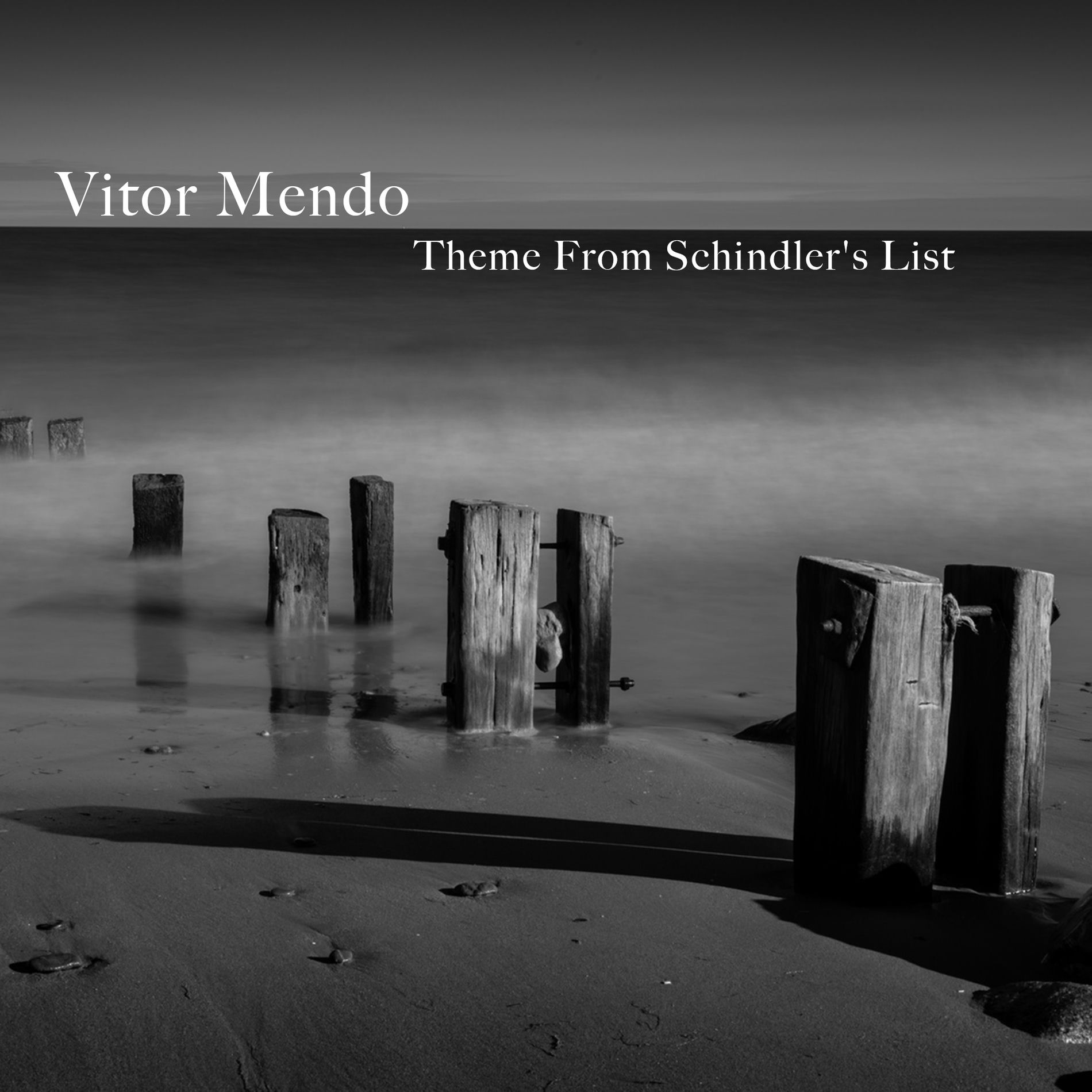 Album cover of Theme From Shindler's List