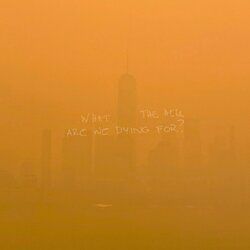 WHAT THE HELL ARE WE DYING FOR ?