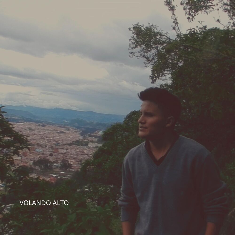 Picture of Volando Alto