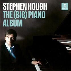 Cover of The (Big) Piano Album