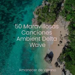 Cover of 50 Maravillosas Canciones Ambient Delta Wave