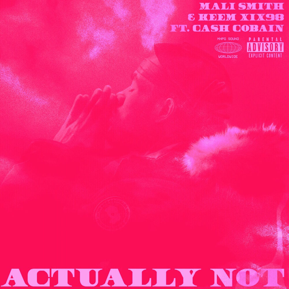 Picture of Actually Not