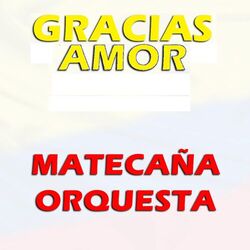 Cover of Gracias Amor