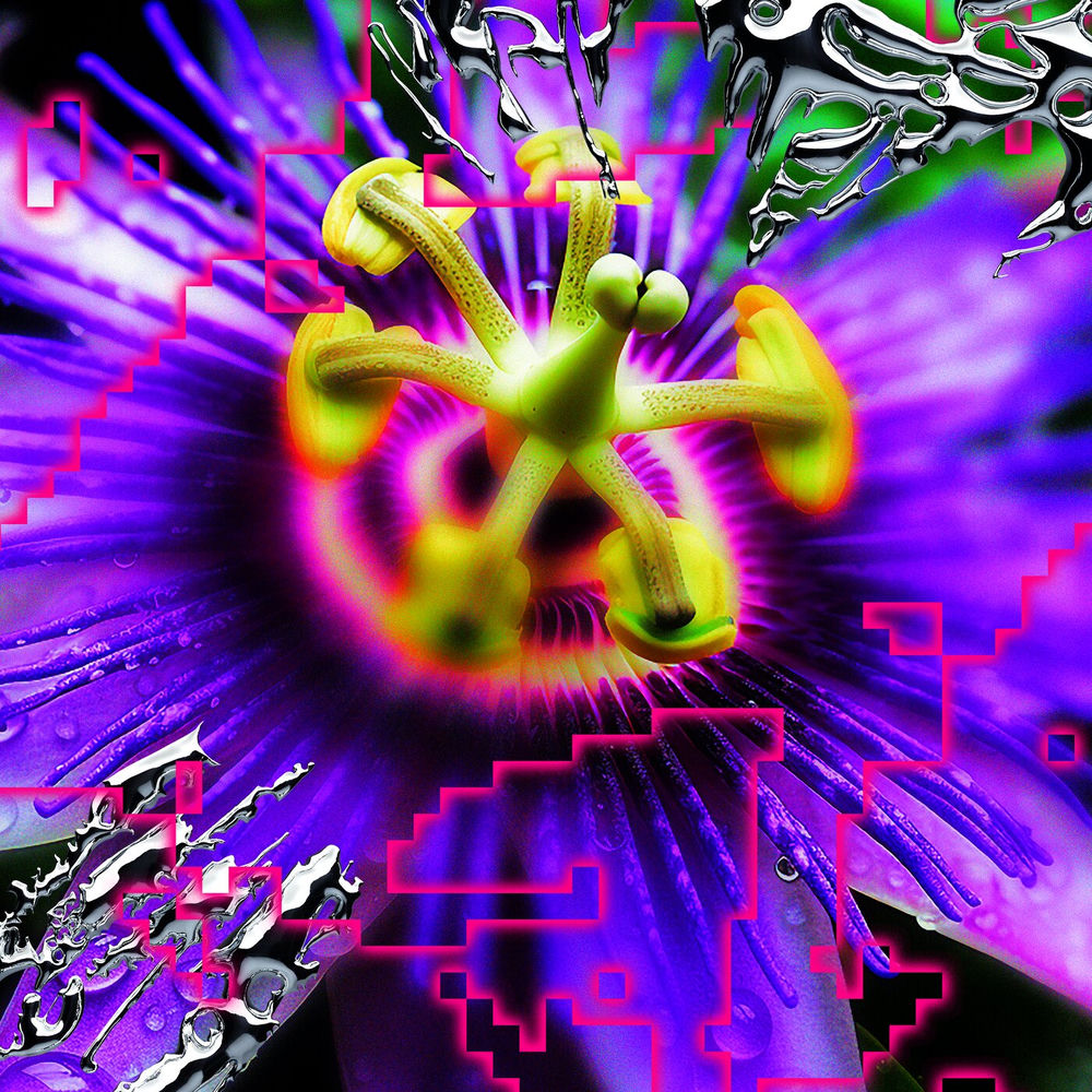 Come Come album cover