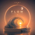 Flow