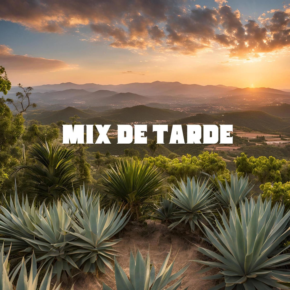 Album cover of mix de tarde