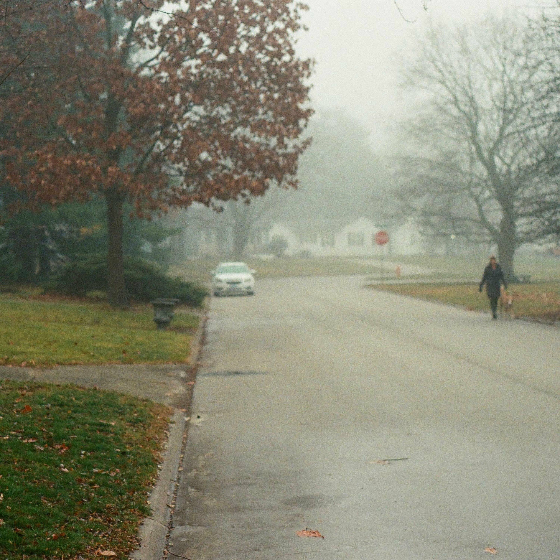 Album cover of never mind