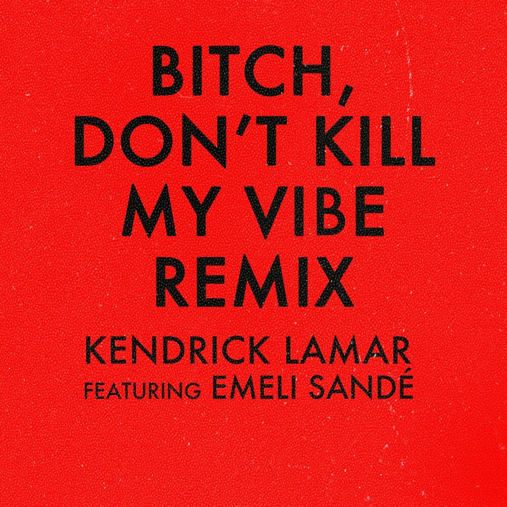 Picture of Bitch, Don't Kill My Vibe (Remix)