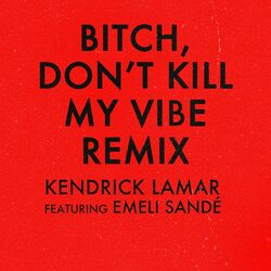 Cover of Bitch, Don't Kill My Vibe (Remix)