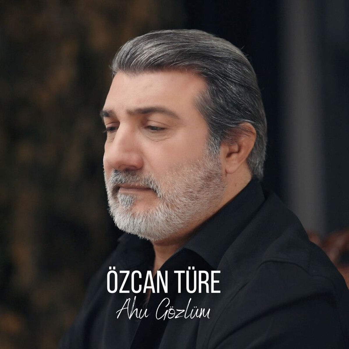 Album cover of Ahu Gözlüm