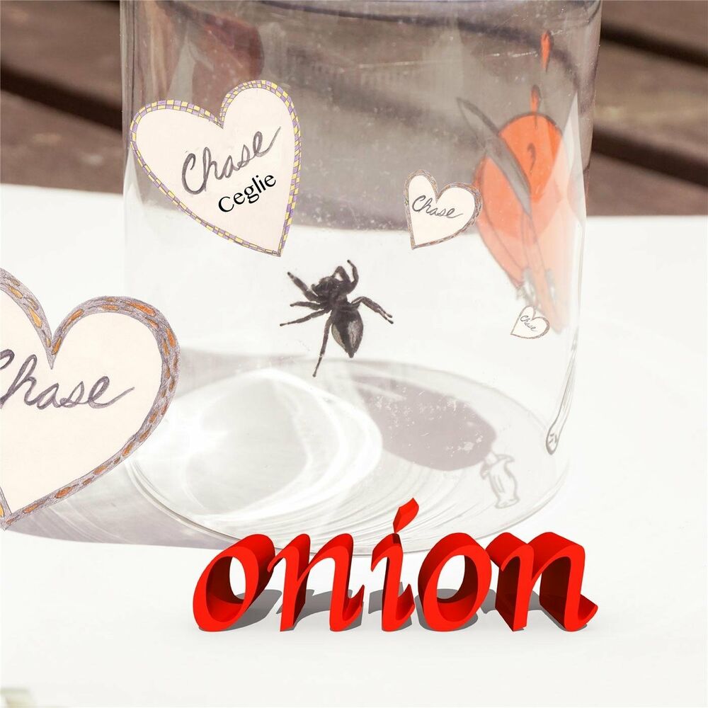 Picture of Onion