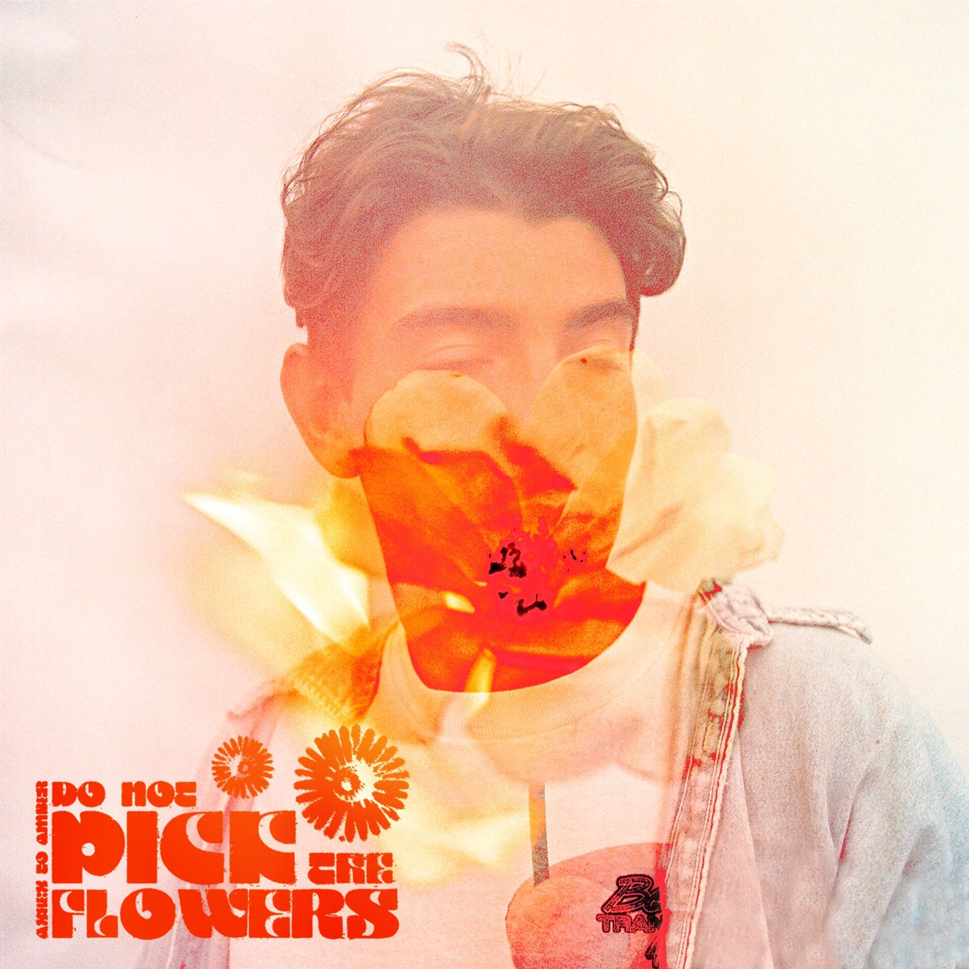 Album cover of Friends In Heaven