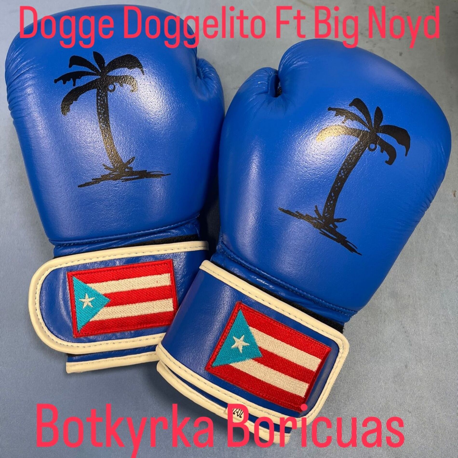 Album cover of Botkyrka Boricuas