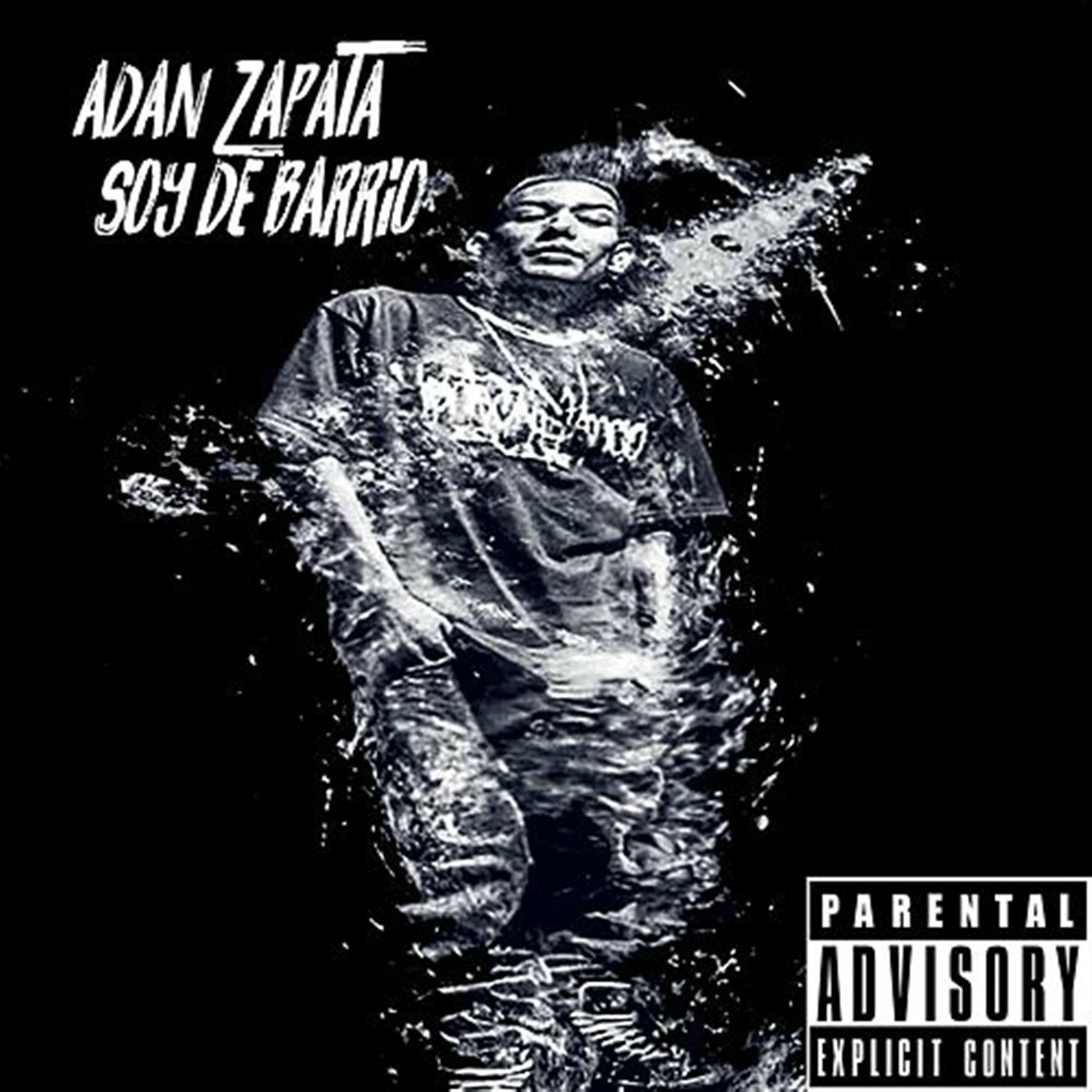 Album cover of Amo Mi Trabajo