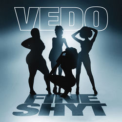 Fine Shyt album cover