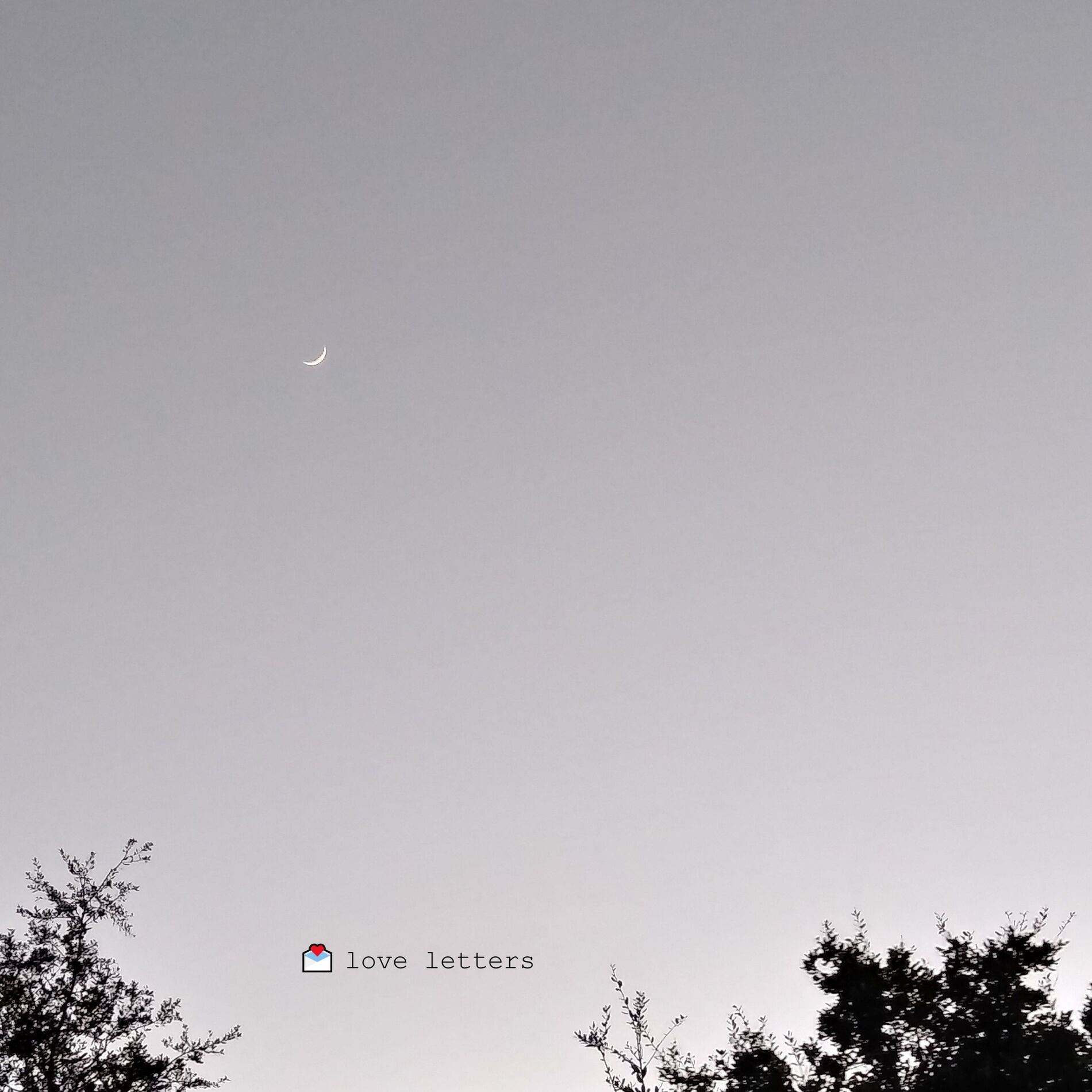 Album cover of love letters
