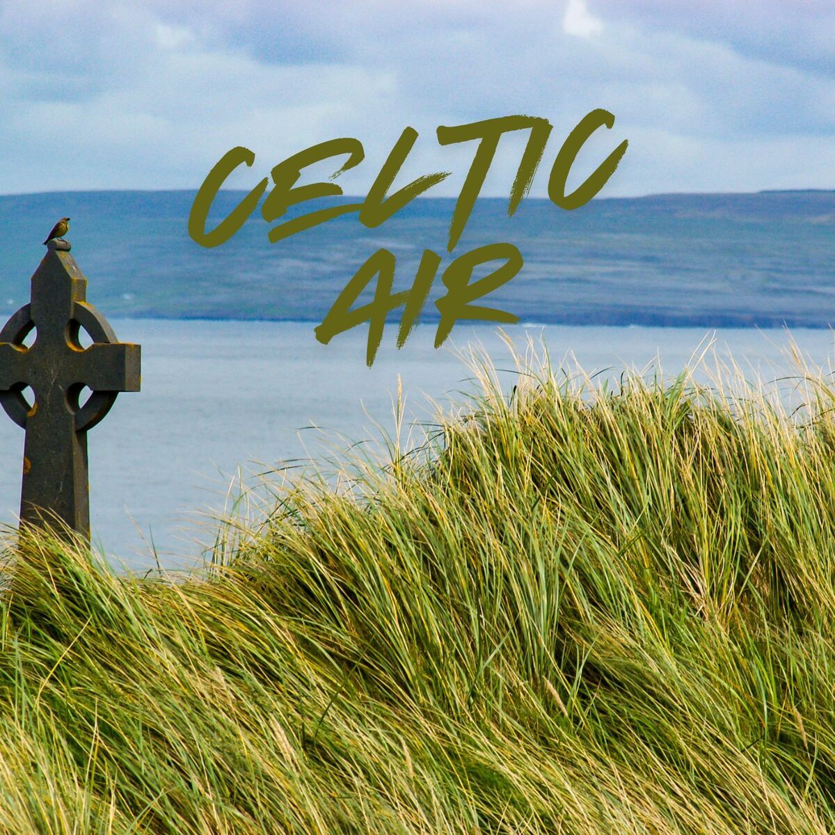Album cover of Celtic Air