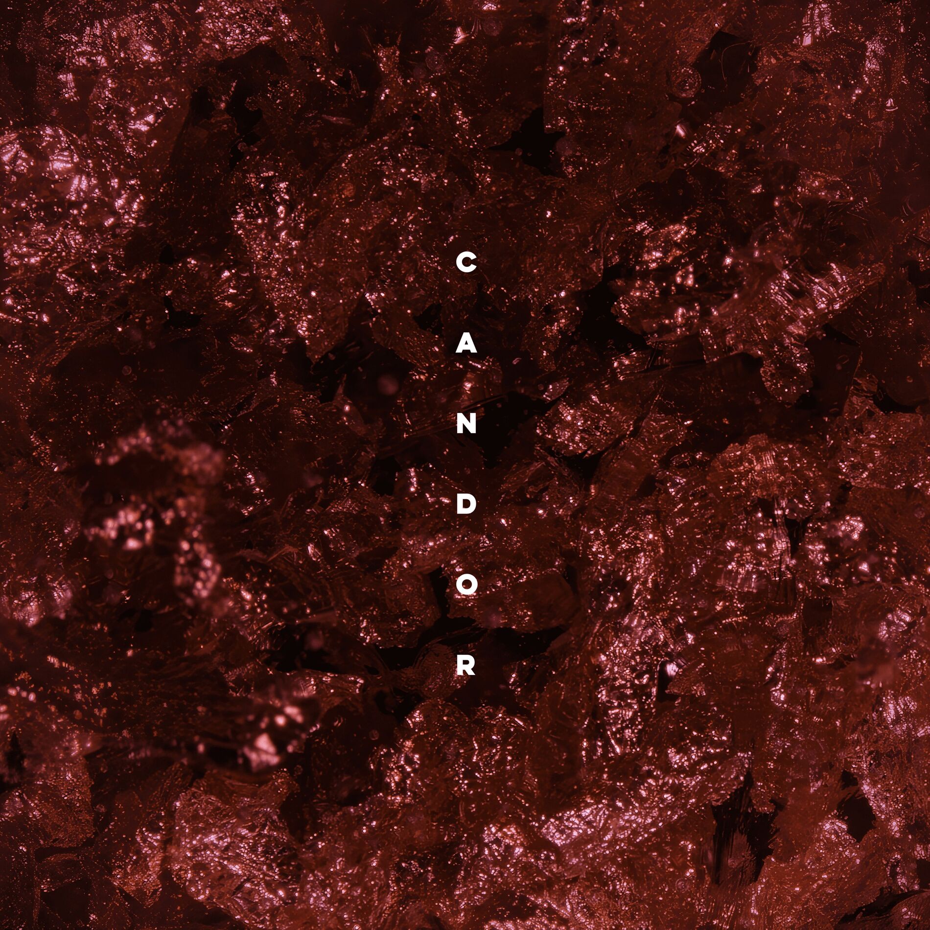 Album cover of Candor