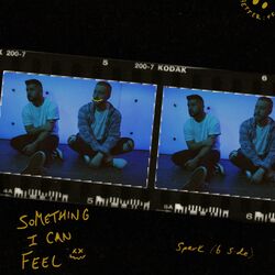 Cover of Something I Can Feel / Spark (B-Side)