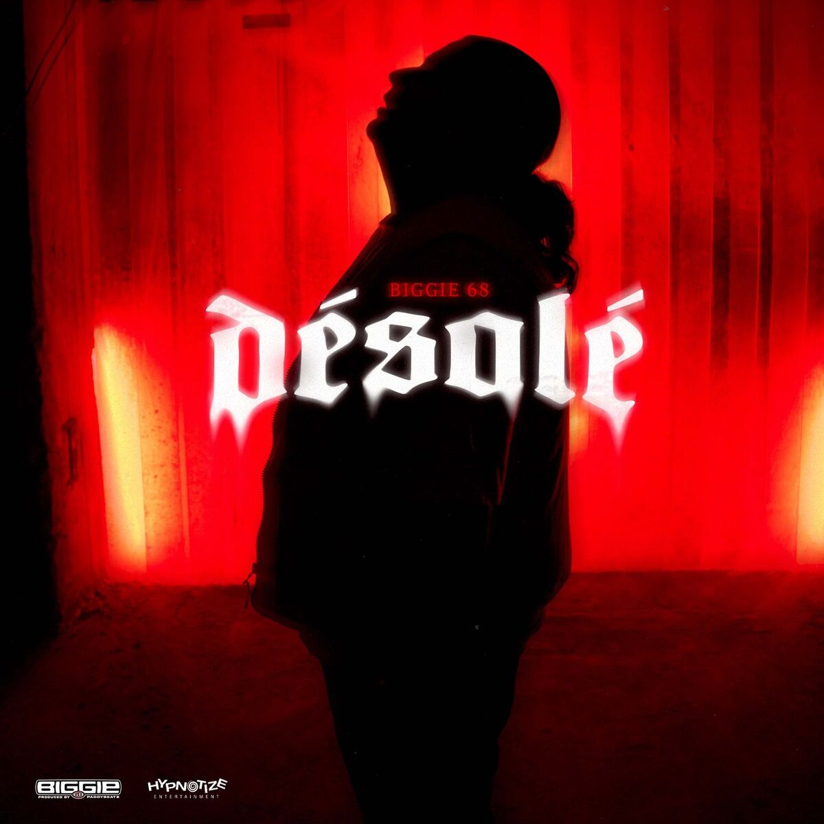 Album cover of Désolé