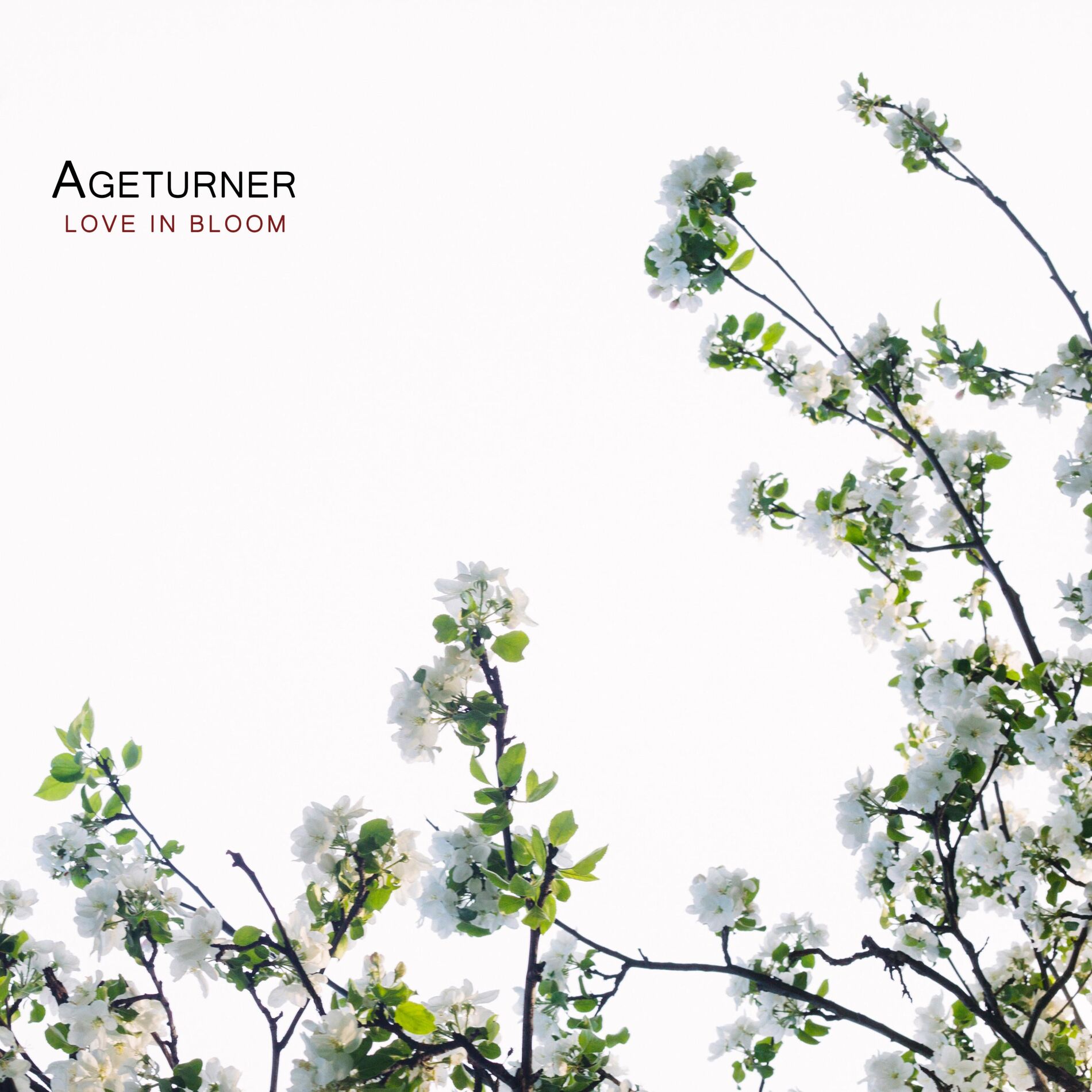 Album cover of Love in Bloom