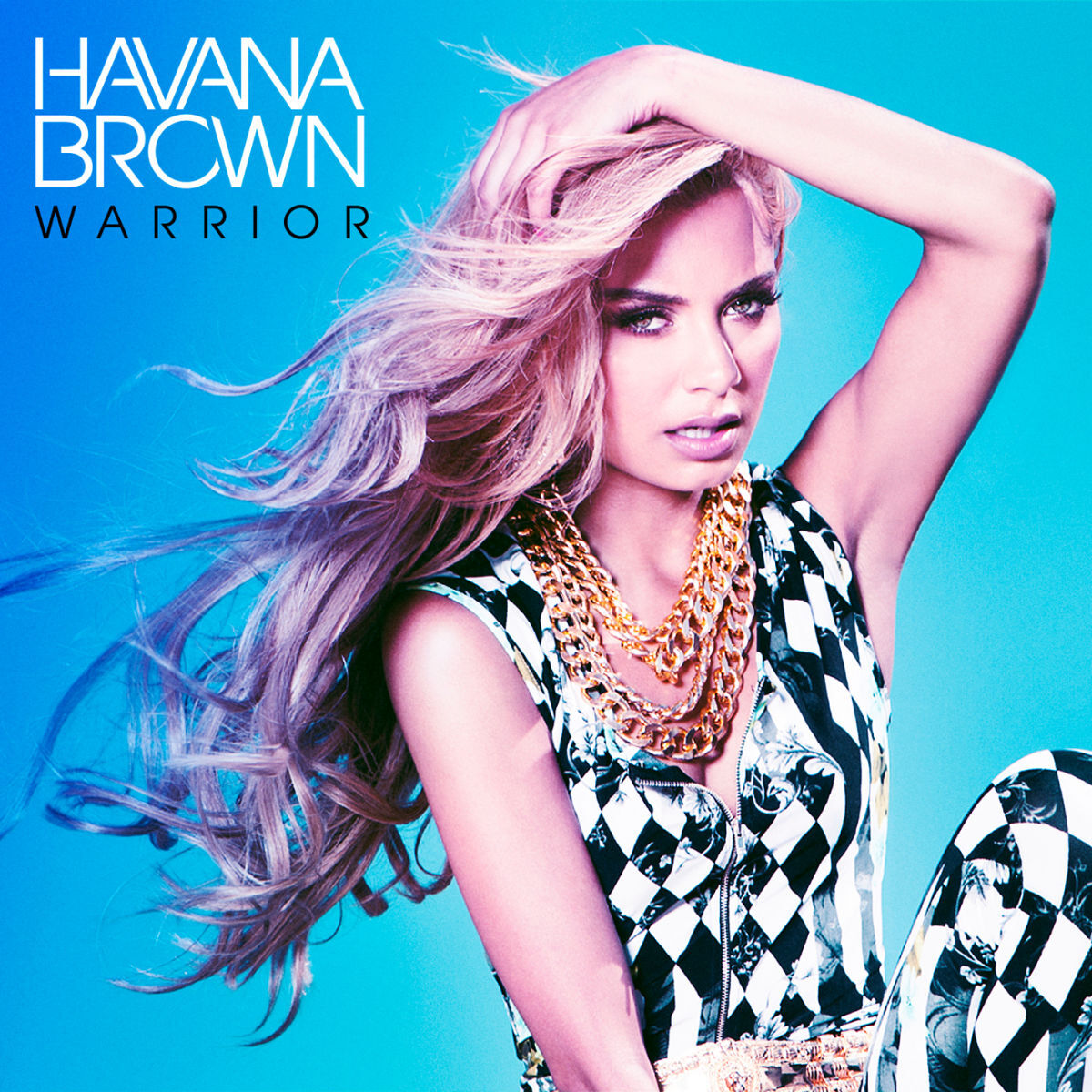 Album cover of Warrior