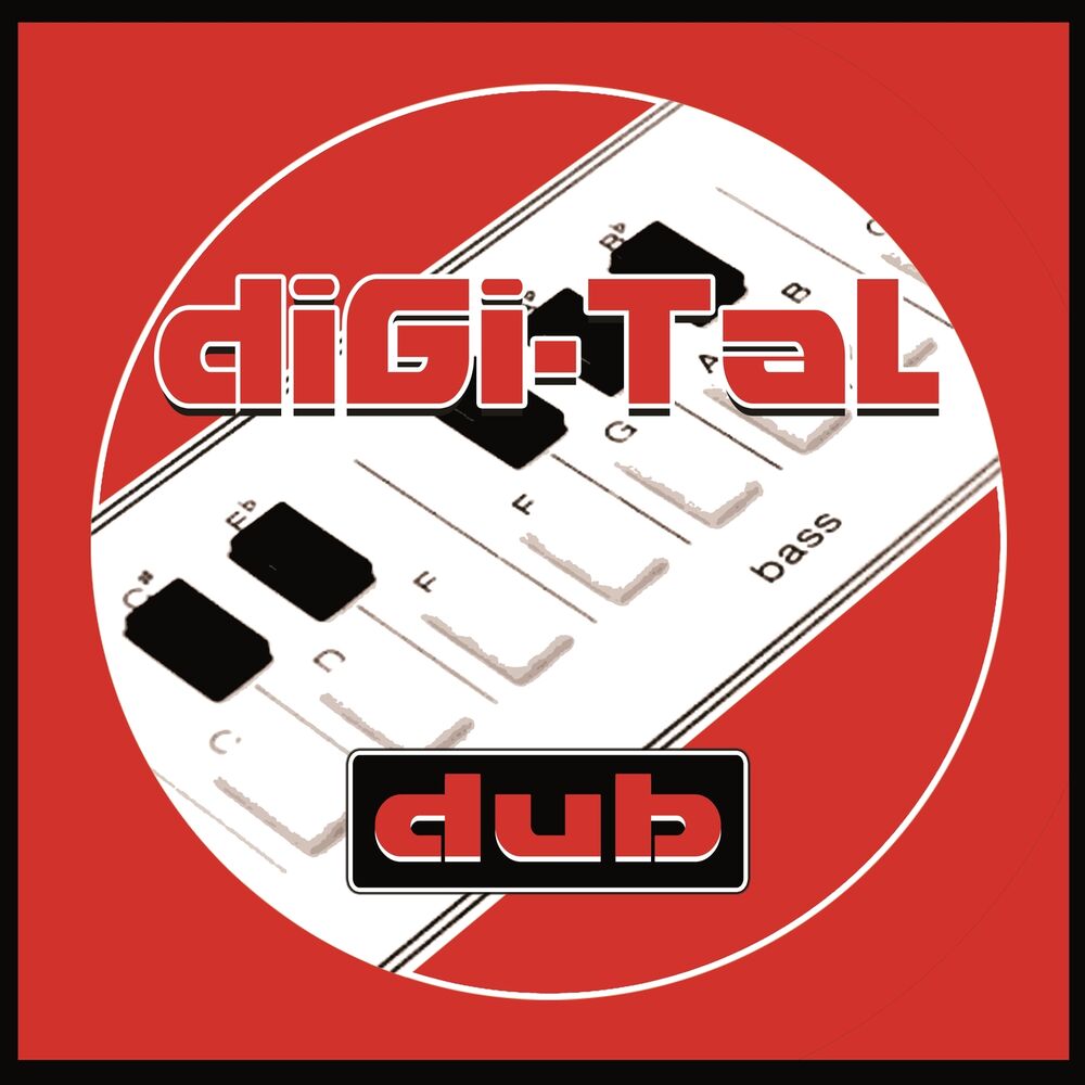 Picture of Digital Dub