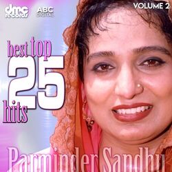 Cover of Best Top 25 Hits Vol. 2 - Parminder Sandhu