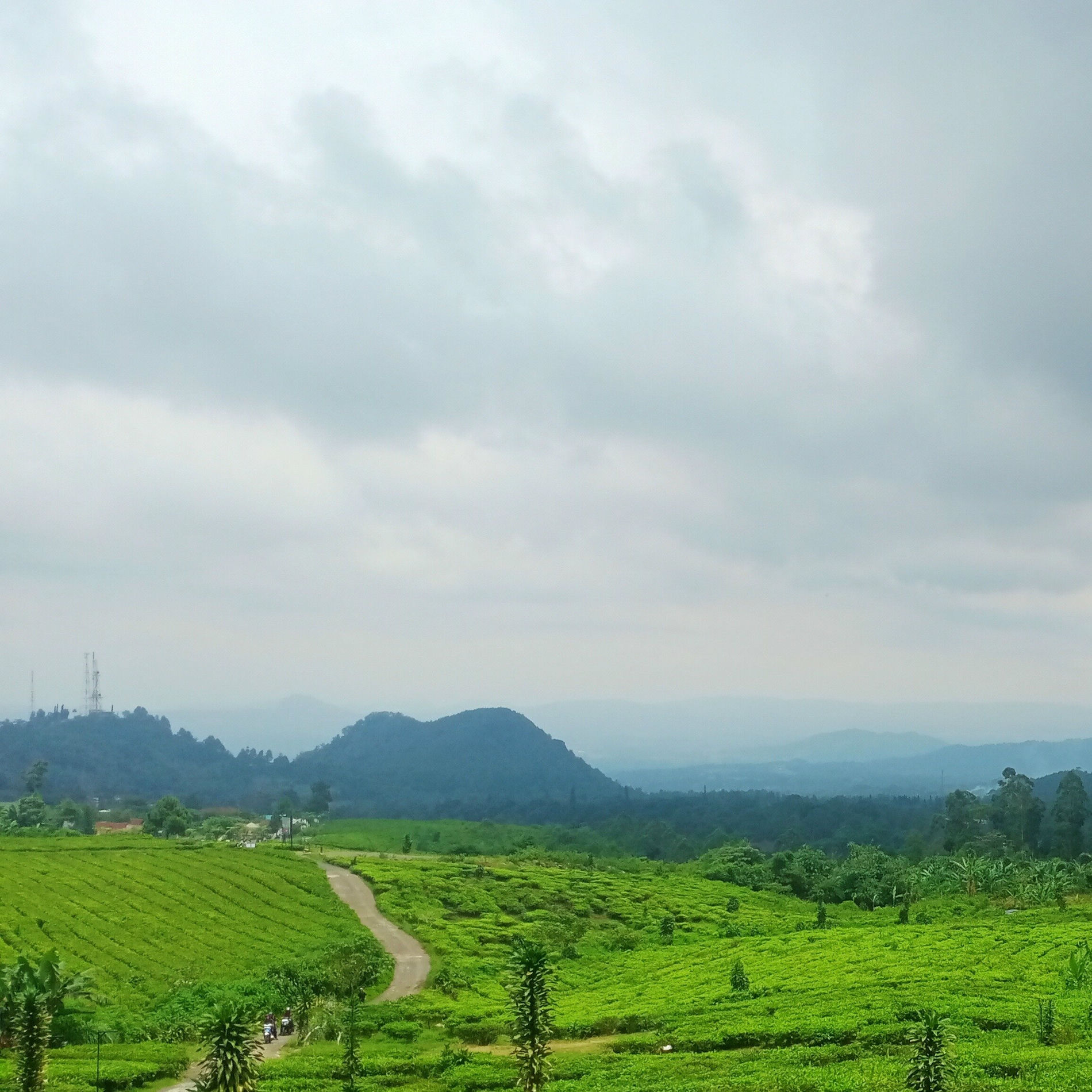 Album cover of Ibu ku merindukanmu