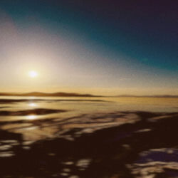 Capa de FEVER