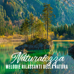 Cover of Naturalezza: Melodie rilassanti della natura, Musica di sottofondo spa, Tempo di yoga e meditazione by undefined