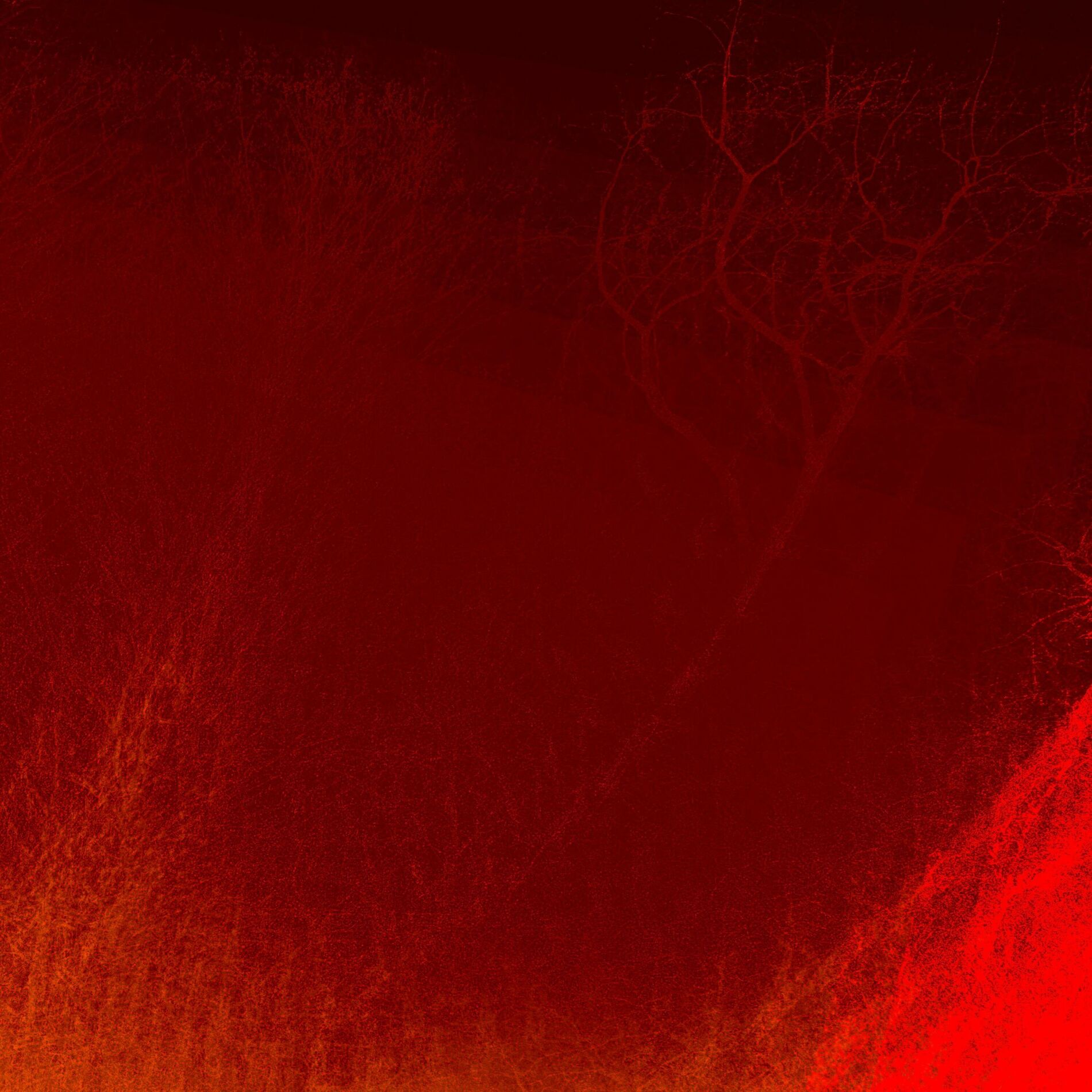 Album cover of Drone Day 2023