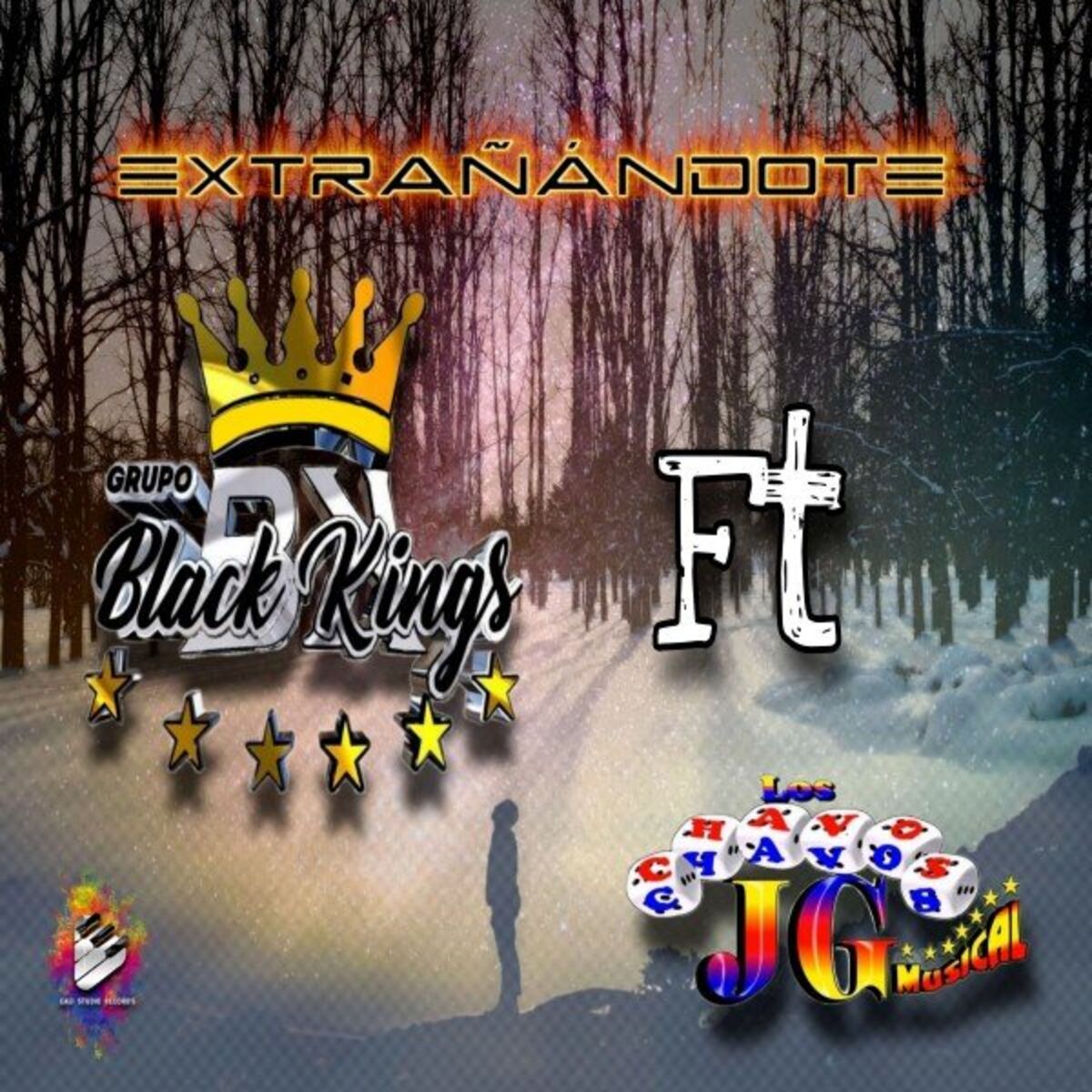 Album cover of Extrañándote