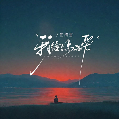 我给你的爱