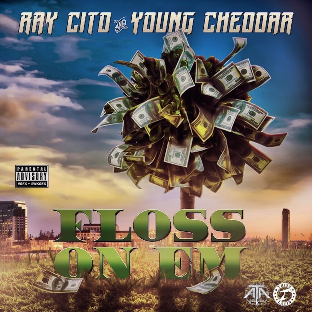 Picture of Floss On Em (feat. Young Cheddar)