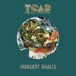 Cover of Transient Whales