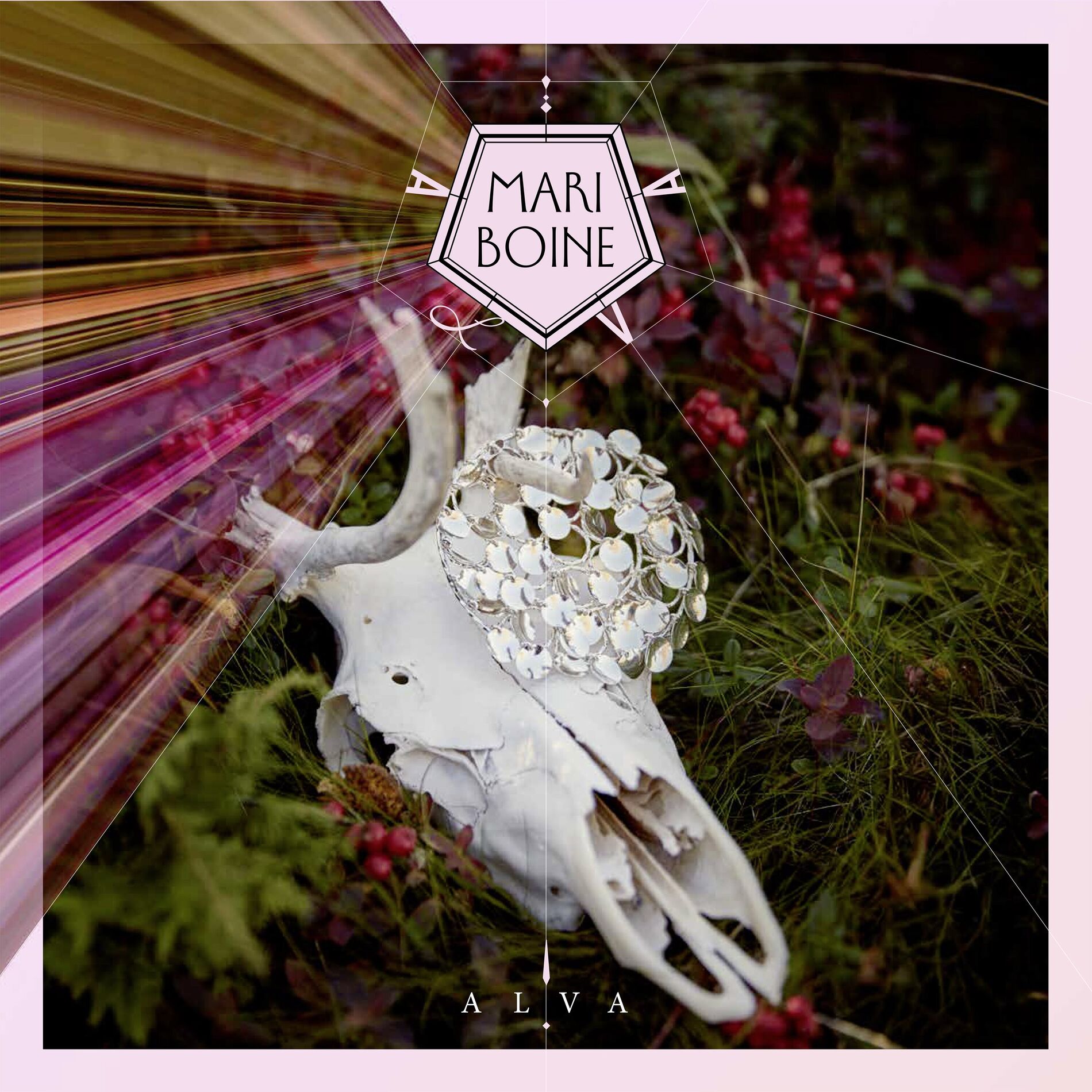 Album cover of Alva