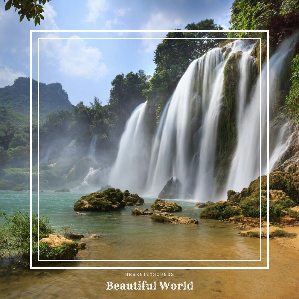 Picture of Beautiful World