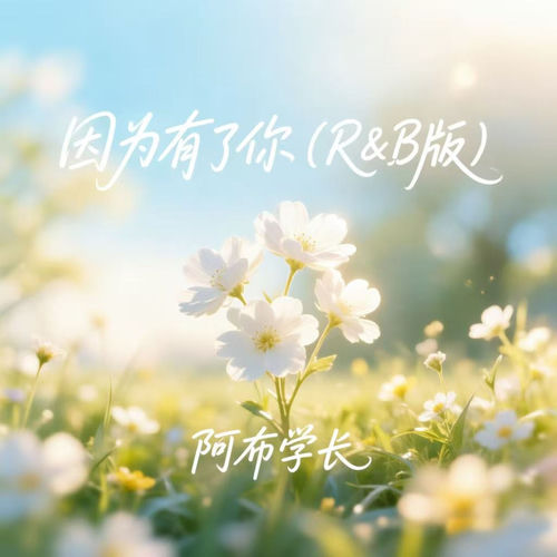 因为有了你 (R&B版)