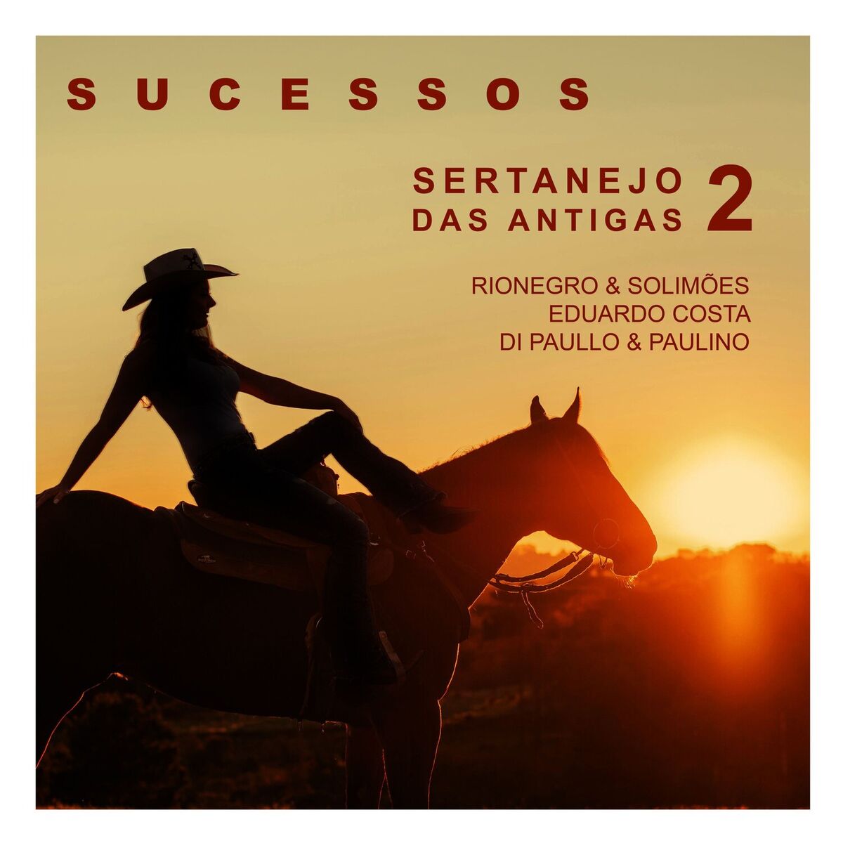 Album cover of Sucessos - Sertanejo das Antigas 2