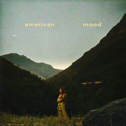 Cover of American Mood