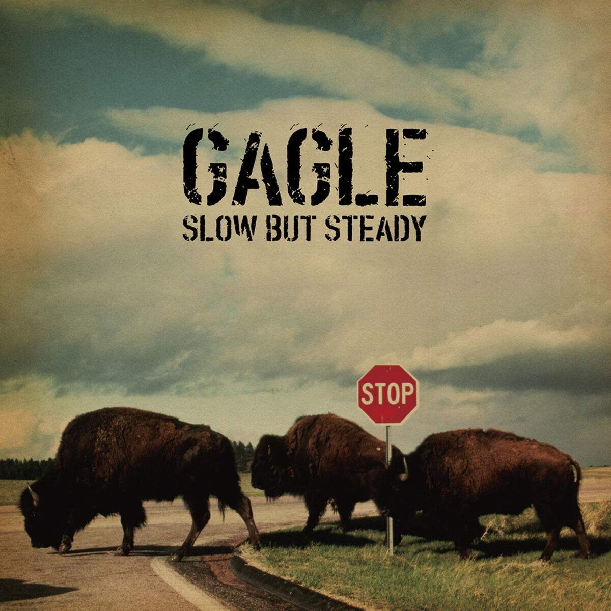 Album cover of Slow But Steady