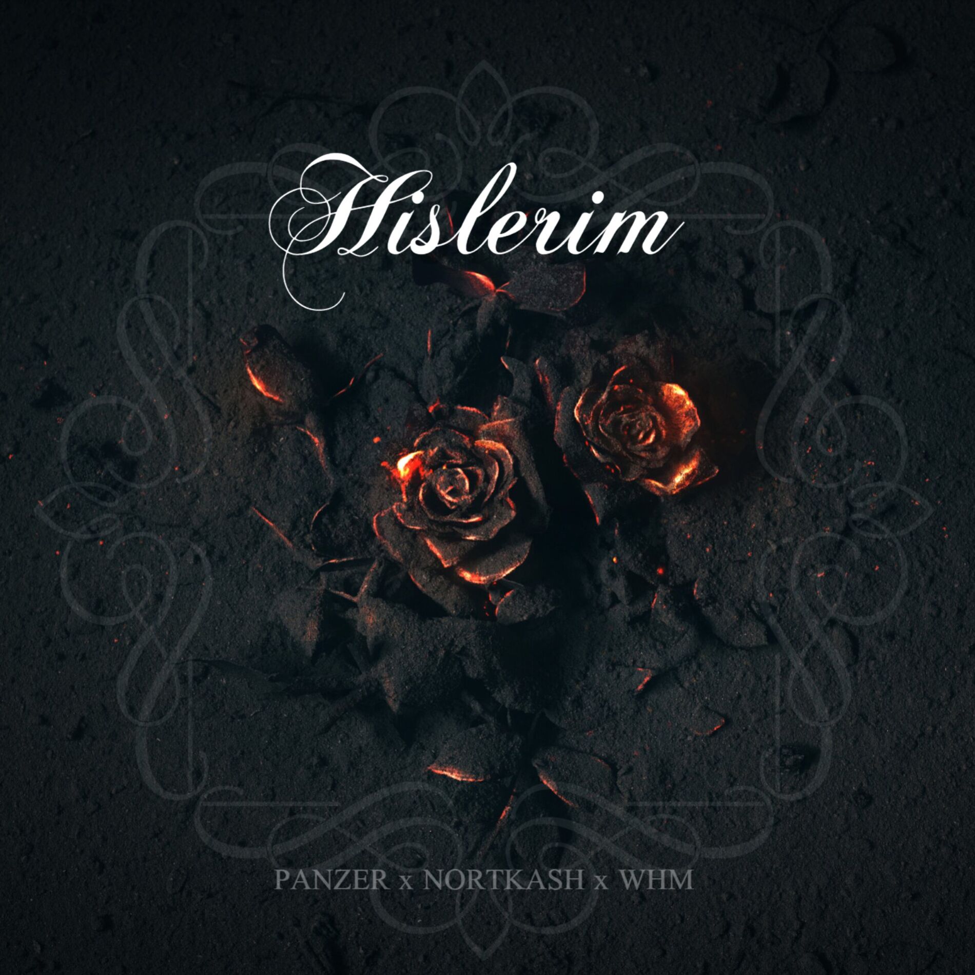 Album cover of Hislerim