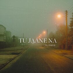 Cover of TU JAANE NA (Slowed)