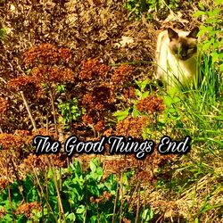 Cover of The Good Things End