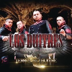 Cover of Territorio Buitre