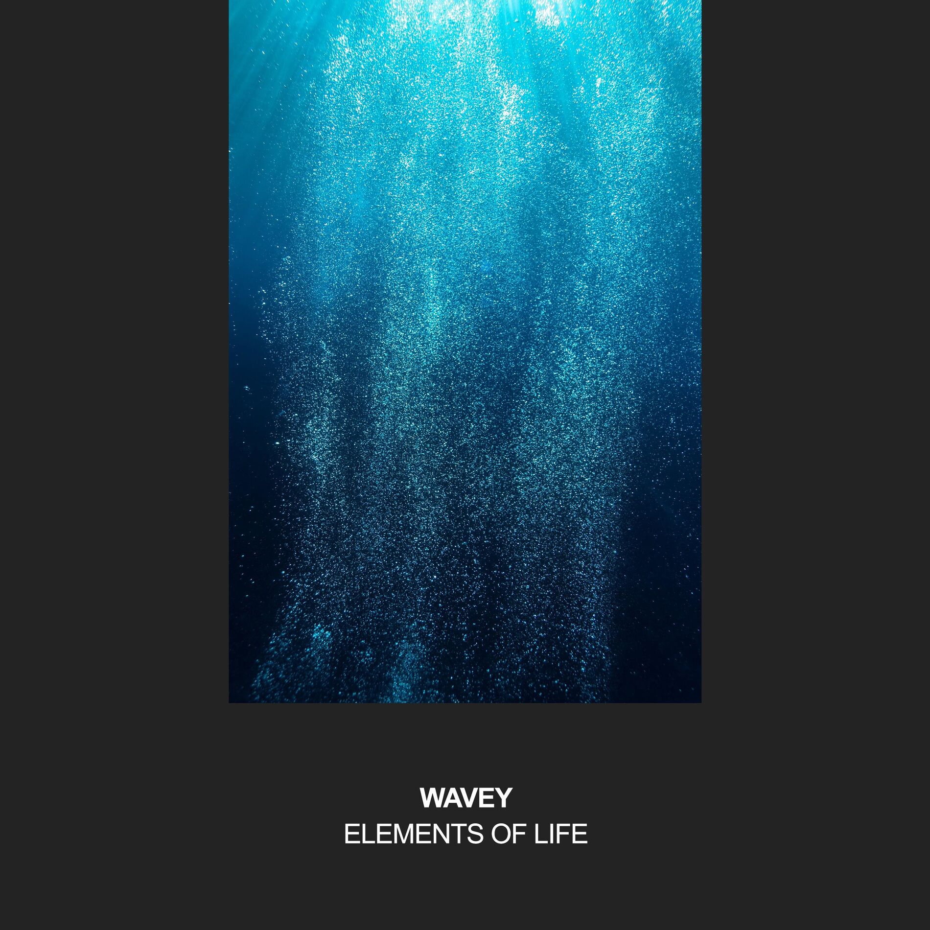 Album cover of Elements of Life