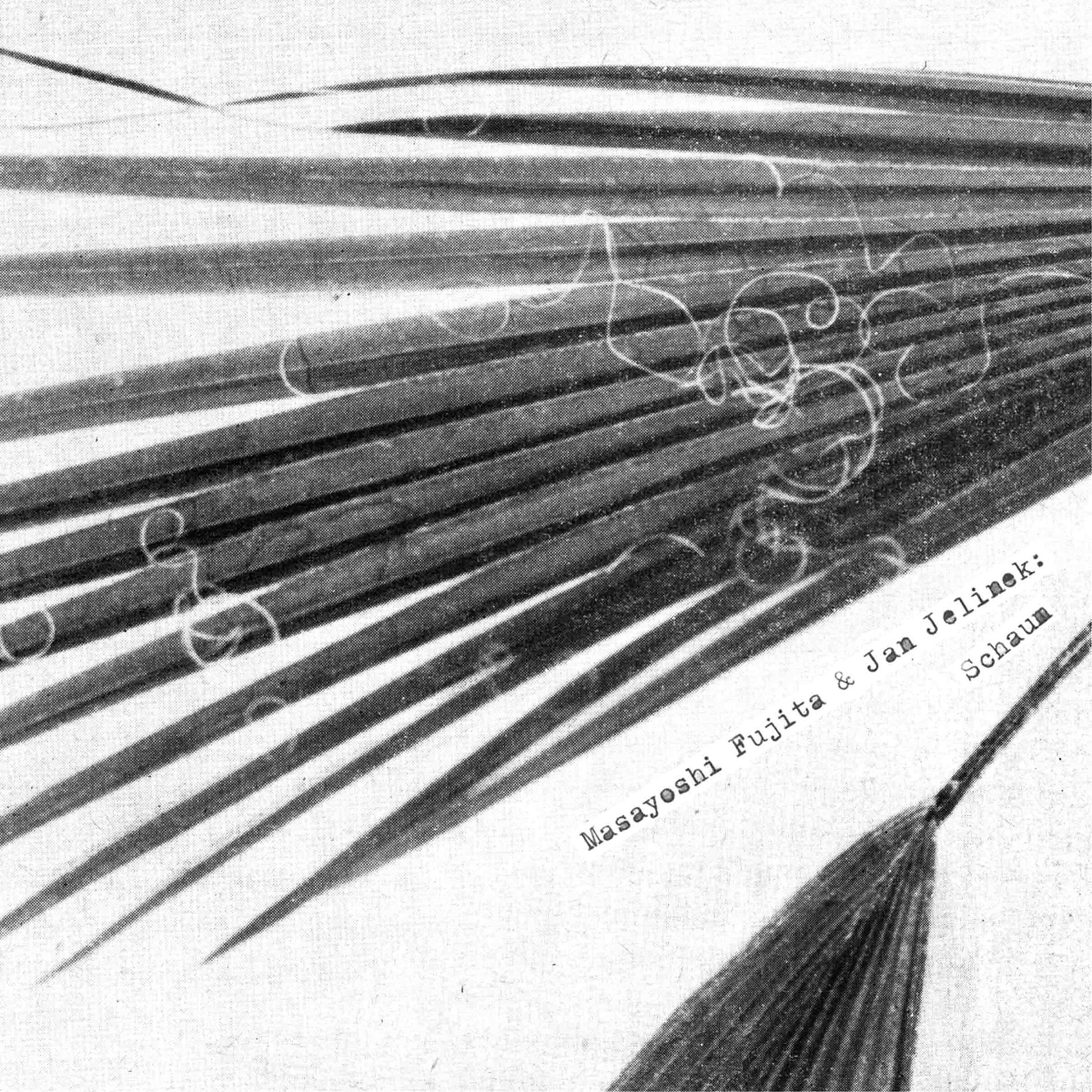 Album cover of LesLang
