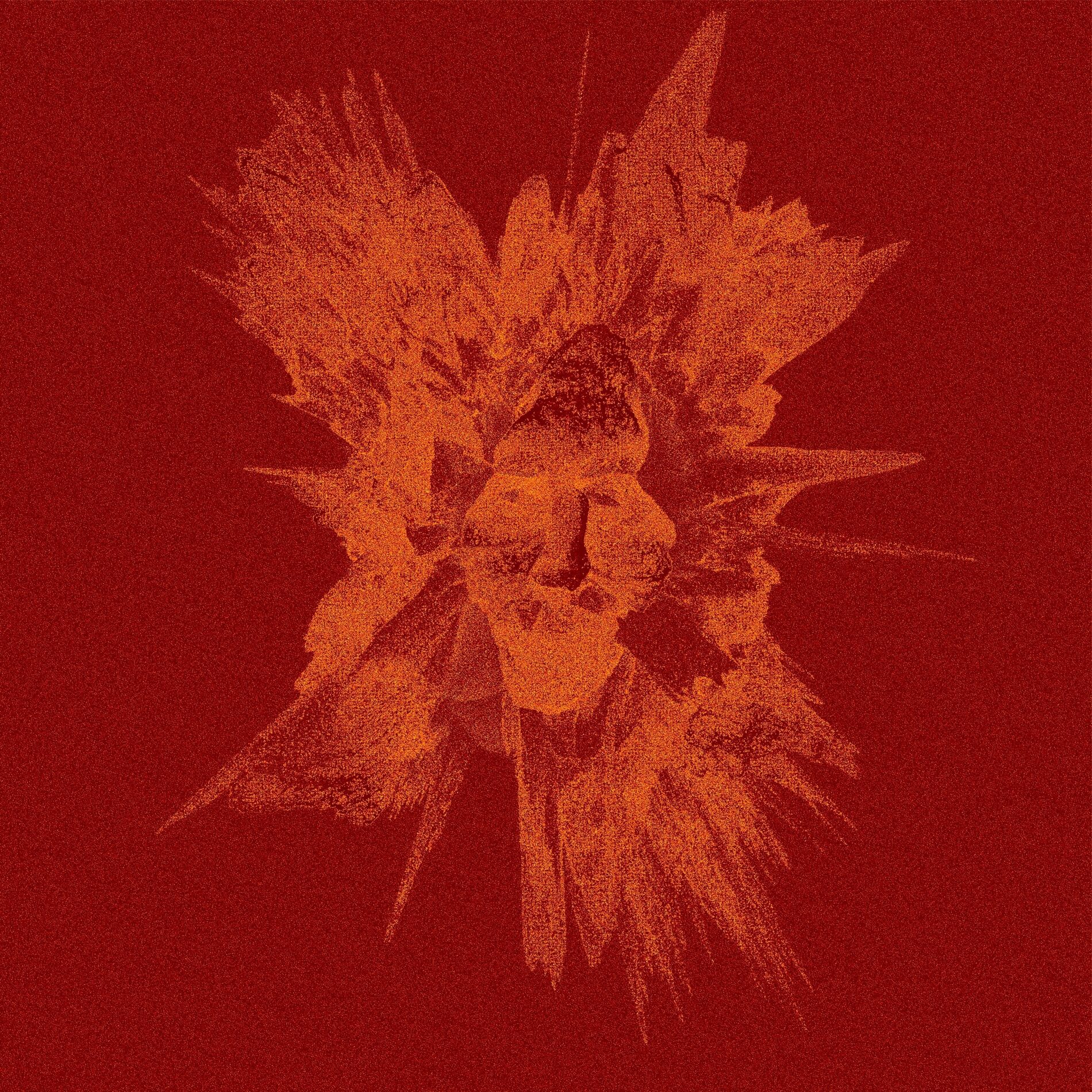 Album cover of Dolce e Pesante